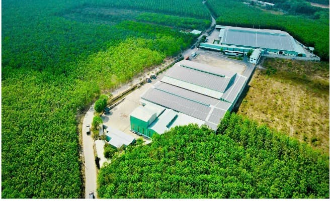 ĐNLMT CTY QUỲNH VI